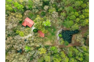 6750 137TH PLACE, CITRA, FL 32113 - MLS#MFROM720716