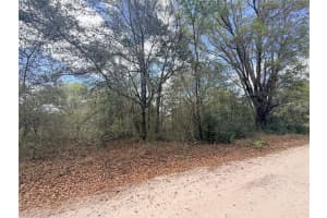 Lots 34-36 NW 52ND AVE, OCALA, FL 34482 - MLS#MFROM720731