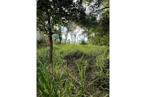 US HWY 27, OCALA, FL 34482 - MLS#MFROM720733