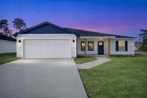 13530 107TH PLACE, SUMMERFIELD, FL 34491 - MLS#MFROM720759
