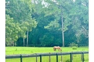 6375 63RD STREET, OCALA, FL 34474 - MLS#MFROM720781