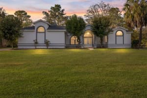 10043 202ND CIRCLE, DUNNELLON, FL 34431 - MLS#MFROM720850