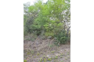 TBD SW 27 STREET, OCALA, FL 34481 - MLS#MFROM720862