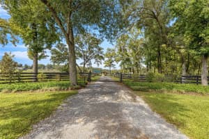 9680 NW HIGHWAY 225A, OCALA, FL 34482 - MLS#MFROM720864