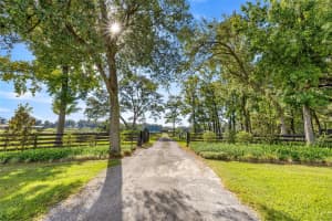 9680 NW HIGHWAY 225A, OCALA, FL 34482 - MLS#MFROM720864