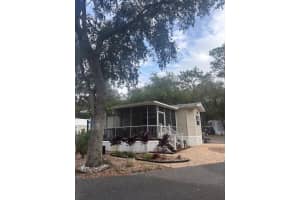 25235 143RD PLACE, SALT SPRINGS, FL 32134 - MLS#MFROM720883
