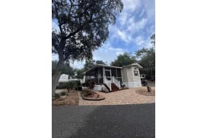 25235 143RD PLACE, SALT SPRINGS, FL 32134 - MLS#MFROM720883