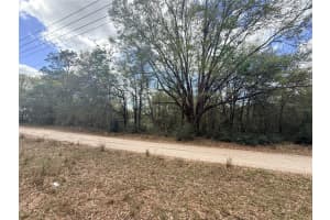 Lots 31-33 52ND AVENUE, OCALA, FL 34482 - MLS#MFROM720912