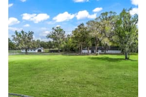 8251 136TH AVENUE ROAD, OCALA, FL 34482 - MLS#MFROM720946