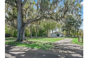 8251 136TH AVENUE ROAD, OCALA, FL 34482 - MLS#MFROM720946