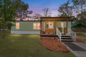 12310 Se 86th Ave, BELLEVIEW