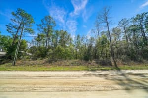 0 SW 78TH PL, OCALA, FL 34476 - MLS#MFROM720966