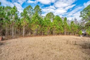 11535 MATTIODA ROAD, GROVELAND, FL 34736 - MLS#MFROM720967