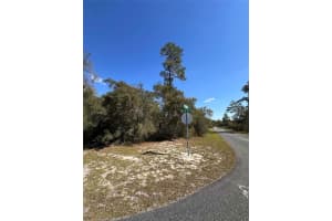 0 SW 36TH AVE. RD, OCALA, FL 34473 - MLS#MFROM720987