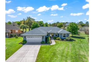 1410 Meadow View Way, LADY LAKE