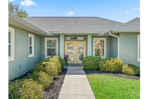 1410 MEADOW VIEW WAY, LADY LAKE, FL 32159 - MLS#MFROM721009