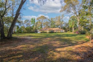 826 GAINES LANE, HERNANDO, FL 34442 - MLS#MFROM721018
