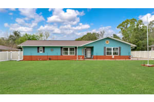 317 BAHIA CIRCLE, OCALA, FL 34472 - MLS#MFROM721033