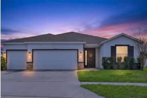 13454 GOLDEN LIME AVENUE, SPRING HILL, FL 34609 - MLS#MFROM721075