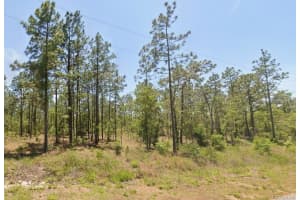 0 NW WATER OAK #5, DUNNELLON, FL 34431 - MLS#MFROM721082