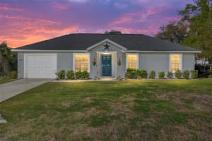 13390 105TH TERRACE, OCKLAWAHA, FL 32179 - MLS#MFROM721083