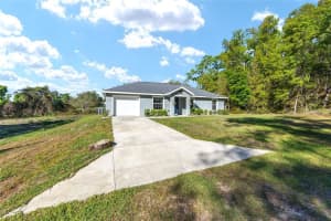 13390 105TH TERRACE, OCKLAWAHA, FL 32179 - MLS#MFROM721083