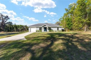 13390 105TH TERRACE, OCKLAWAHA, FL 32179 - MLS#MFROM721083
