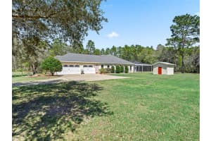 11370 12TH LANE, MORRISTON, FL 32668 - MLS#MFROM721094
