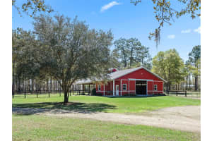 11370 12TH LANE, MORRISTON, FL 32668 - MLS#MFROM721094