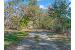 6350 86TH AVENUE, BRONSON, FL 32621 - MLS#MFROM721098