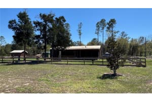 6845 SUNNYVIEW POINT, HOMOSASSA, FL 34446 - MLS#MFROM721100