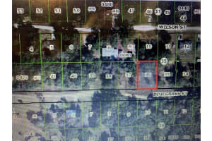 2406 BLUEGRASS STREET, INVERNESS, FL 34453 - MLS#MFROM721141