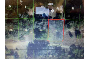 2408 BLUEGRASS STREET, INVERNESS, FL 34453 - MLS#MFROM721145