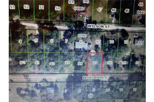 2408 BLUEGRASS STREET, INVERNESS, FL 34453 - MLS#MFROM721145