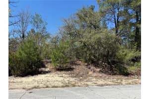 10762 MORENO DRIVE, DUNNELLON, FL 34433 - MLS#MFROM721199