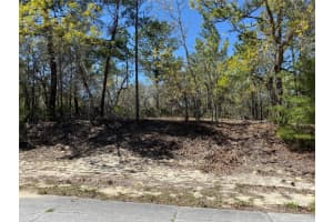 10776 MORENO DRIVE, DUNNELLON, FL 34433 - MLS#MFROM721205