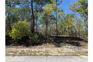 10776 MORENO DRIVE, DUNNELLON, FL 34433 - MLS#MFROM721205