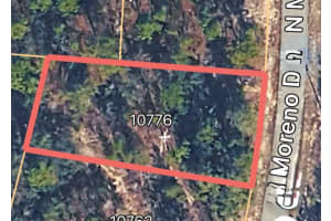 10776 MORENO DRIVE, DUNNELLON, FL 34433 - MLS#MFROM721205