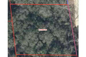 230 194 TERRACE, WILLISTON, FL 32696 - MLS#MFROM721232