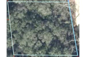 230 194 TERRACE, WILLISTON, FL 32696 - MLS#MFROM721232