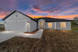 154 JUNIPER RUN, OCALA, FL 34480 - MLS#MFROM721238