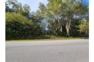 LOCUST RUN COURSE, OCALA, FL 34472 - MLS#MFROM721257