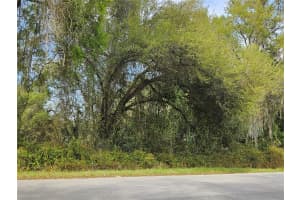 LOCUST RUN COURSE, OCALA, FL 34472 - MLS#MFROM721257