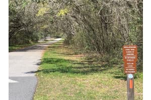 1111 CAIRO DRIVE, CITRUS SPRINGS, FL 34434 - MLS#MFROM721271