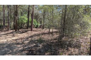 SW 129TH TER, OCALA, FL 34481 - MLS#MFROM721279