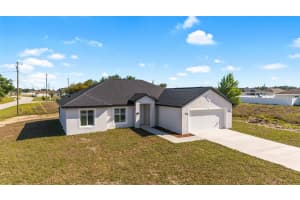 3 WALNUT RUN, OCALA, FL 34480 - MLS#MFROM721285