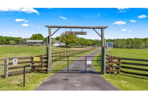 5665 140TH STREET, SUMMERFIELD, FL 34491 - MLS#MFROM721354