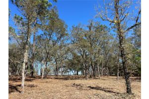 Lot 25 TIMBERLAKE ROAD, DUNNELLON, FL 34431 - MLS#MFROM721362