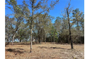 Lot 25 TIMBERLAKE ROAD, DUNNELLON, FL 34431 - MLS#MFROM721362