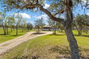 4470 121ST AVENUE, WILLISTON, FL 32696 - MLS#MFROM721391